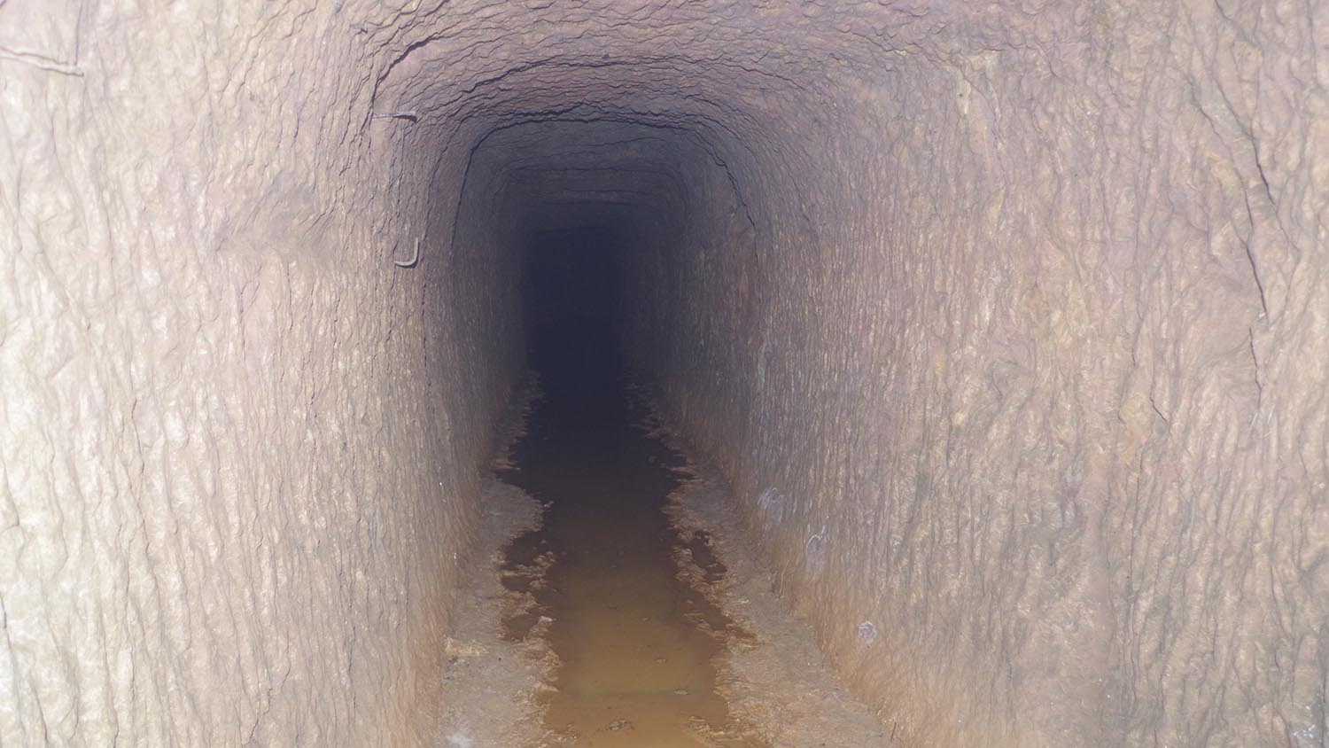 One of the shafts at  the Old Pigg's Peak Mine.